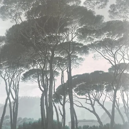 Oda ve Kahvaltı Chiesa Russa